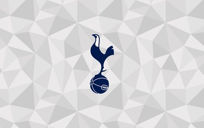 熊猫体育-他状态火热挡不住