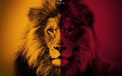 熊猫体育动态-门将零封奖金捐给慈善机构