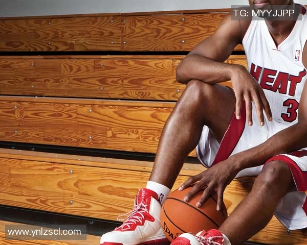 近支付奢侈税近！勇士和快船为何在季避税？(勇士队快船)