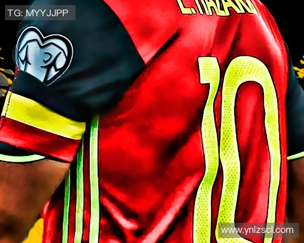 国米铁卫又秀神级视野