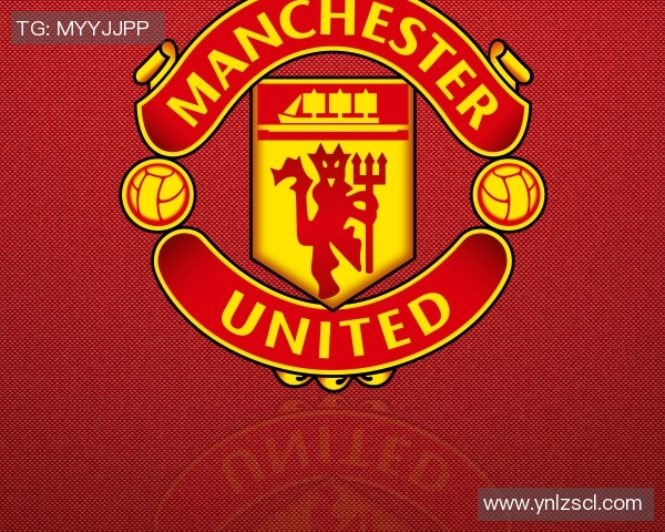 伯贝这头球冲顶破门